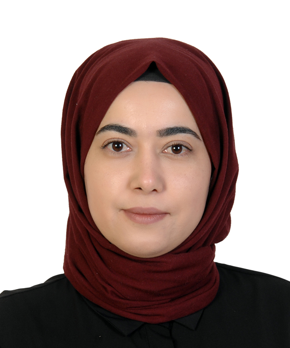Lect. AyÅŸegül Akkaya